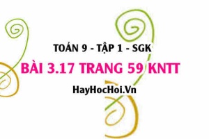 Bài 3.17 trang 59 Toán 9 tập 1 Kết nối tri thức